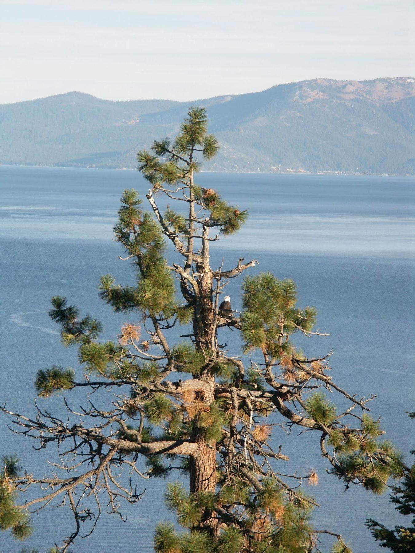 Where Eagles Fly Bed & Breakfast Elk Point Kültér fotó